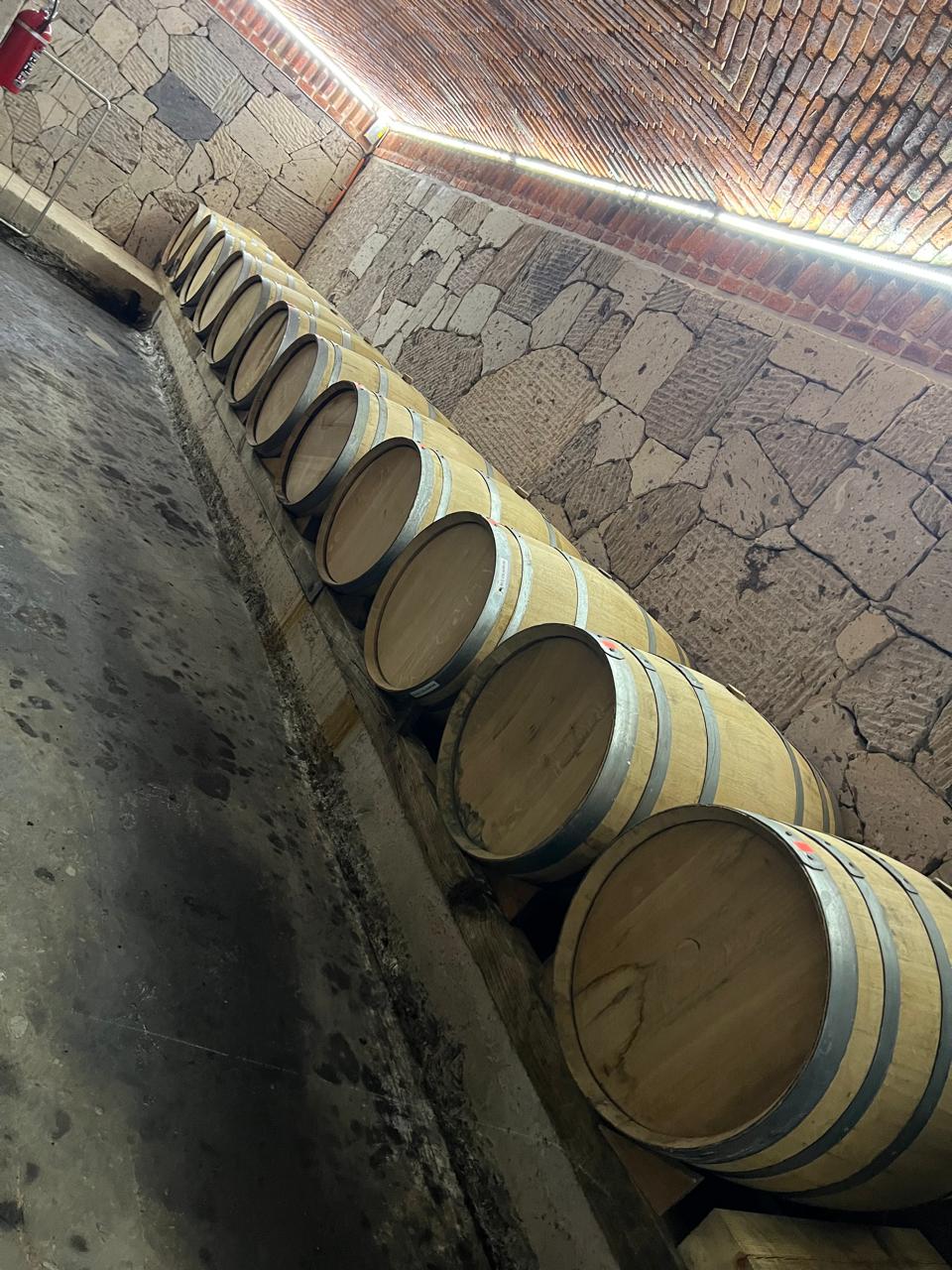 Barricas de tequila